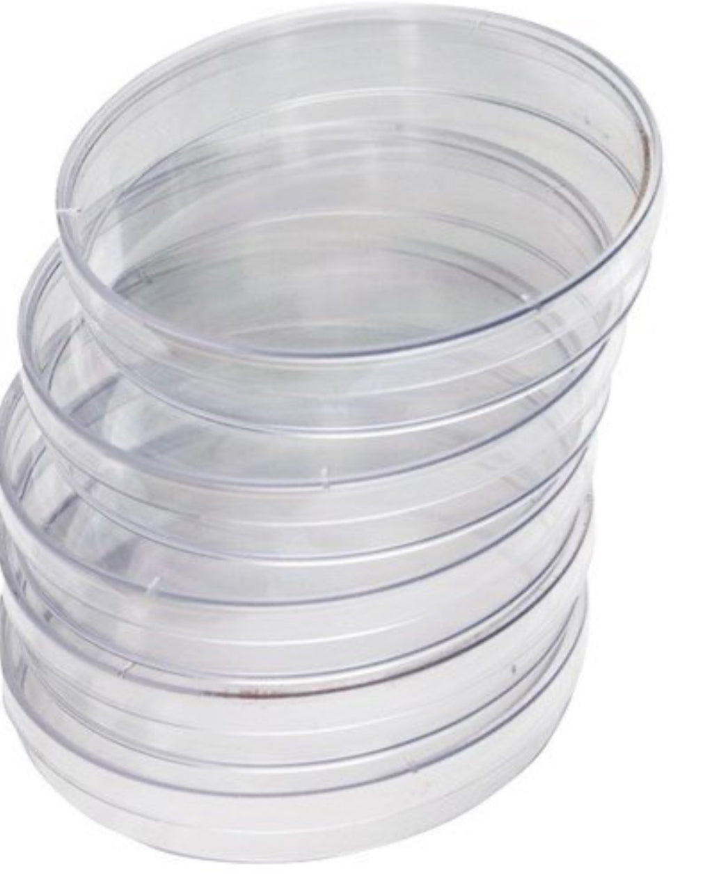 Petri Dish 50mm Sterile (ETO)