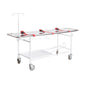 PATIENT TROLLEY WITH STAINLESS STEEL TOP