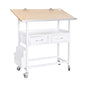 ICU BED END TROLLEY - 2 DRAWER