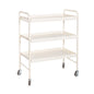 3 TIER FOOD TROLLEY FULL EPOXY